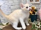 �}���`�J��