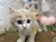 �}���`�J�������O�w�A�[�i�����j