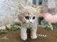 �}���`�J�������O�w�A�[�i�����j