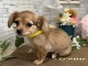�~�b�N�X�i�`�����~�~�j�`���A�E�_�b�N�X�t���h�j