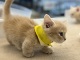 �}���`�J�������O�w�A�[
