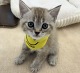 �}���`�J��