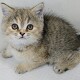 �~�k�G�b�g